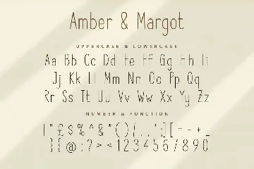 Amber and Margot San Serif Display Font