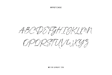 Shadhowiest Signature Handwritten Font