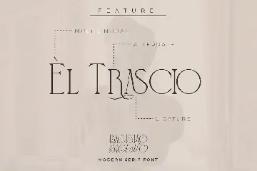 Bagisko Modern Serif Font