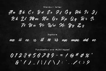 Salzburg Stylish Script Font