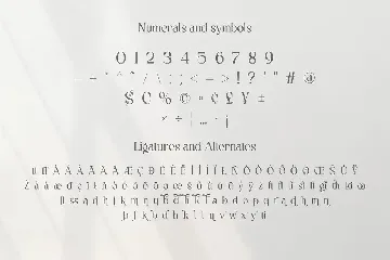 Luxury Serif Font