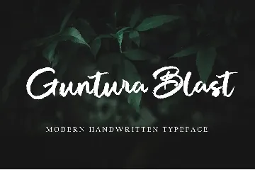 Autena Shilda font