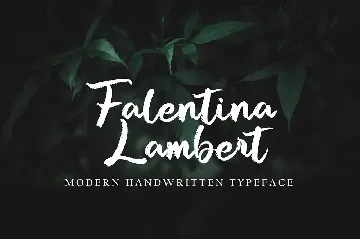 Autena Shilda font