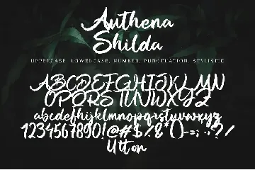 Autena Shilda font