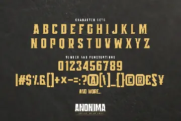 ANONIMA - Classic Bold Serif Font