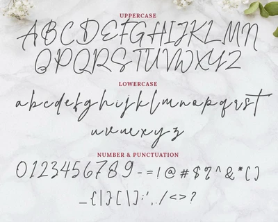 Alexandra Monoline Script font