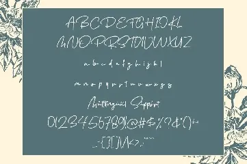De Orleans - Modern Signature Font