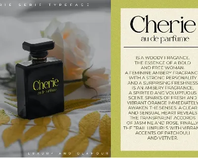 Cherie | Classic Modern Serif font