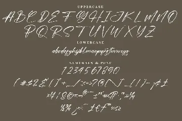 Hunterlost Modern Signature Font