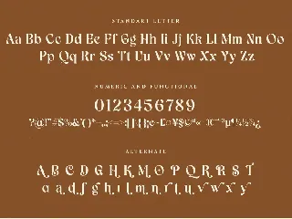 Mavela Unique Classic Serif font