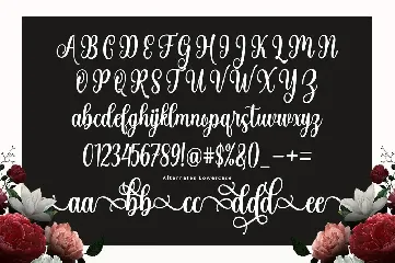 Machia Script font