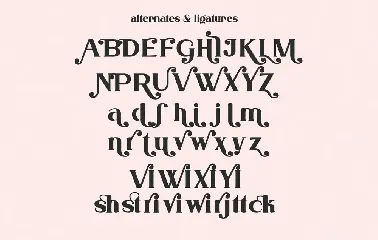 sherin attack font