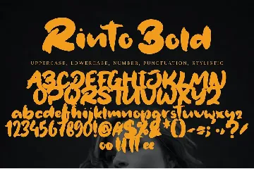 Rinto Bold font