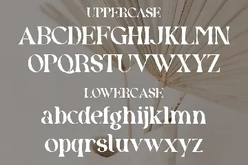 Glody - Serif Font