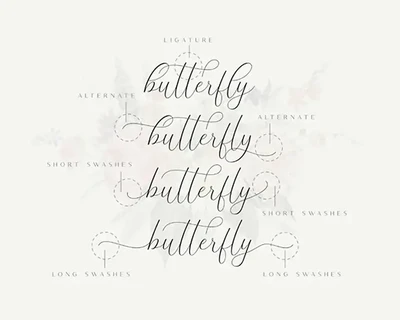 The Britney - Luxury Elegant Script font