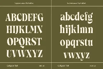 Callgest Display Font - 3 Styles