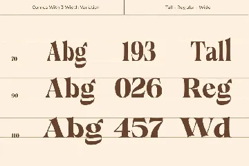 Callgest Display Font - 3 Styles