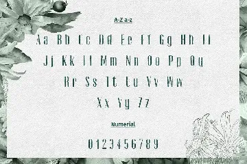 Oachim Display Font