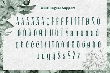 Oachim Display Font