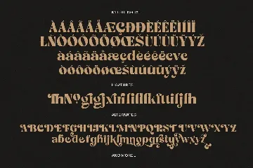 Bropella - Swash Display Font