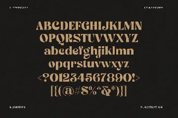 Bropella - Swash Display Font