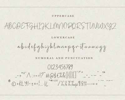 Deltany Signature - Handwritten Script Font