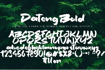 Dateng Bold font