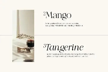 Night Mango - Elegant Modern Font