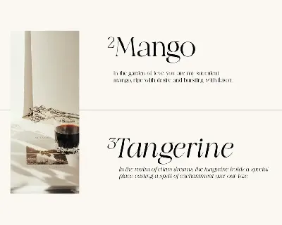 Night Mango - Elegant Modern Font