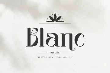 Vagues Elegant Serif font