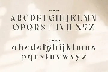 Vagues Elegant Serif font