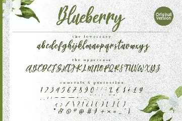 Blueberry - Modern Calligraphy Font