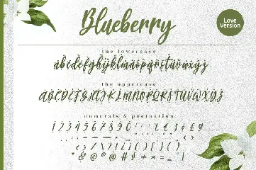 Blueberry - Modern Calligraphy Font