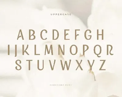 Panorama - Beauty Display Font