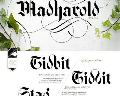 Osgard Pro | Font