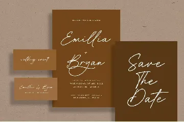 Bridget Lily Business Handwritten Font