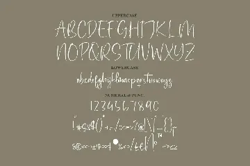 Wellymonte Script Font