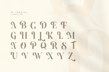 Youngest - Elegant Luxury Fancy Serif font