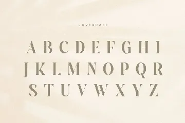 Youngest - Elegant Luxury Fancy Serif font