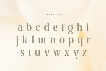 Youngest - Elegant Luxury Fancy Serif font