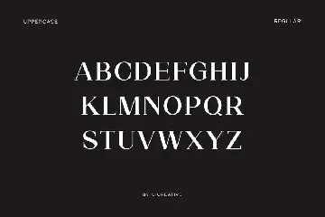 Roadblock Family Serif Font