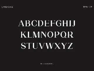 Roadblock Family Serif Font