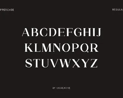 Roadblock Family Serif Font