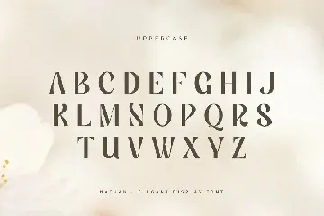 Nathan - Elegant Display Font