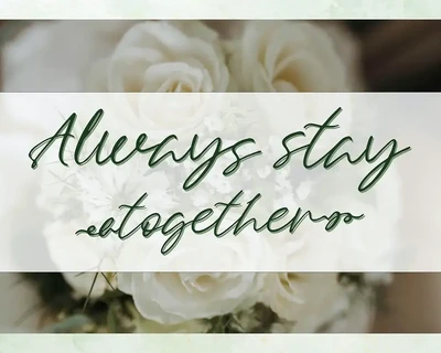 Elyssum | Modern Calligraphy Font