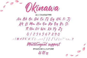 Okinawa-Elegant Brush Font