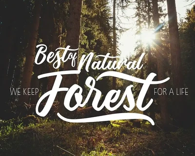 Mothica font