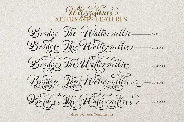 Welroseltone - Unique Script Font