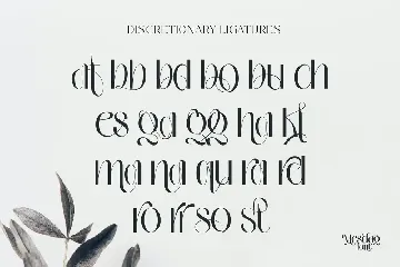 Mesdag Font