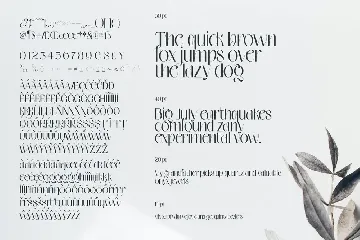 Mesdag Font